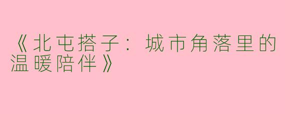 《北屯搭子：城市角落里的温暖陪伴》