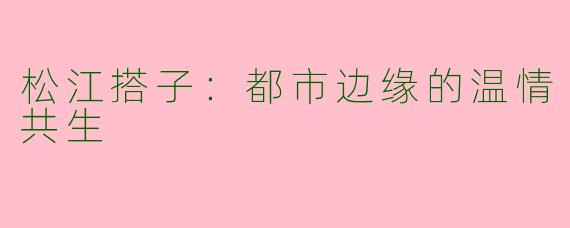 松江搭子：都市边缘的温情共生