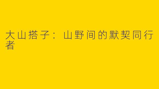 大山搭子：山野间的默契同行者