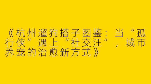 《杭州遛狗搭子图鉴：当“孤行侠”遇上“社交汪”，城市养宠的治愈新方式》