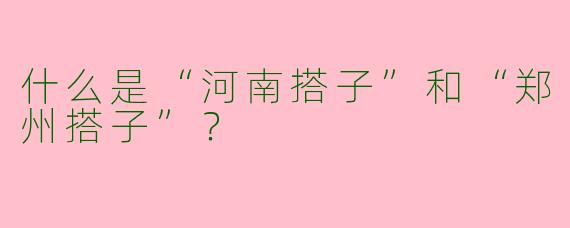 什么是“河南搭子”和“郑州搭子”？
