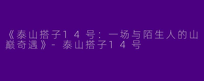 《泰山搭子14号：一场与陌生人的山巅奇遇》-泰山搭子14号