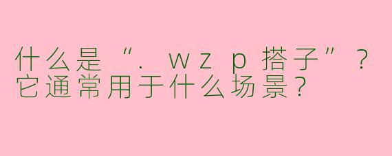 什么是“.wzp搭子”？它通常用于什么场景？