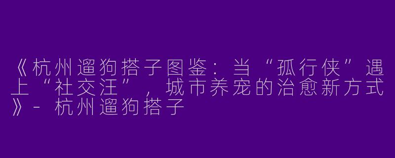 《杭州遛狗搭子图鉴：当“孤行侠”遇上“社交汪”，城市养宠的治愈新方式》-杭州遛狗搭子