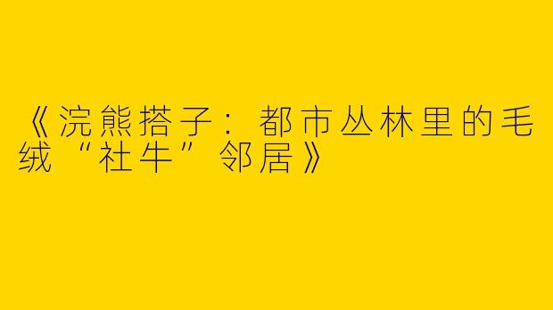 《浣熊搭子：都市丛林里的毛绒“社牛”邻居》