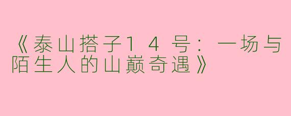 《泰山搭子14号：一场与陌生人的山巅奇遇》