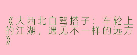 《大西北自驾搭子：车轮上的江湖，遇见不一样的远方》