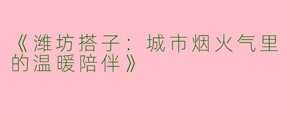 《潍坊搭子：城市烟火气里的温暖陪伴》