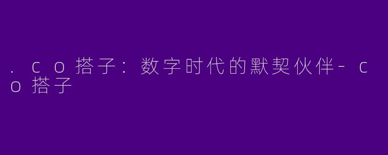 .co搭子：数字时代的默契伙伴-co搭子