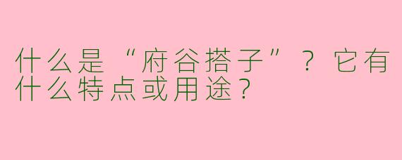 什么是“府谷搭子”？它有什么特点或用途？
