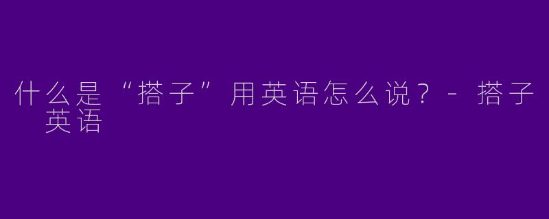 什么是“搭子”用英语怎么说？-搭子 英语