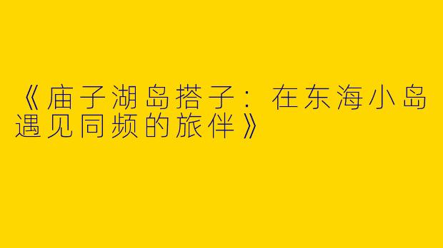 《庙子湖岛搭子：在东海小岛遇见同频的旅伴》