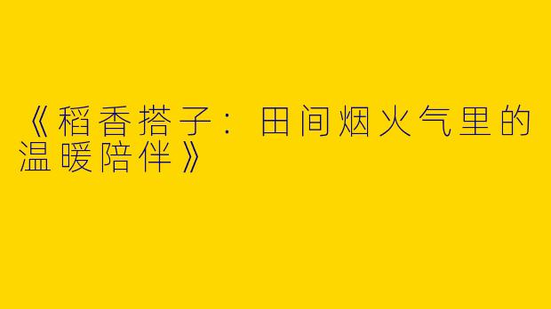 《稻香搭子：田间烟火气里的温暖陪伴》