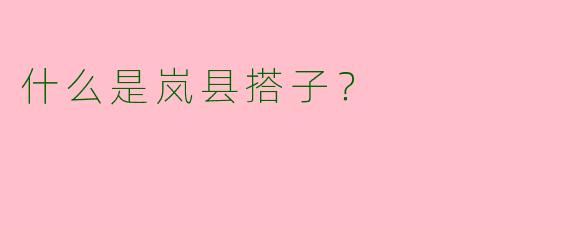什么是岚县搭子？