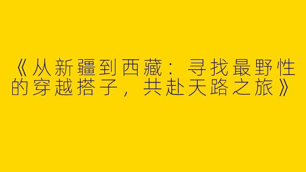《从新疆到西藏：寻找最野性的穿越搭子，共赴天路之旅》