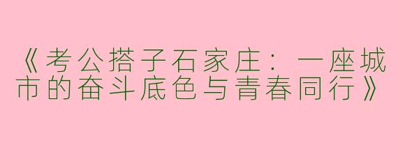 《考公搭子石家庄：一座城市的奋斗底色与青春同行》