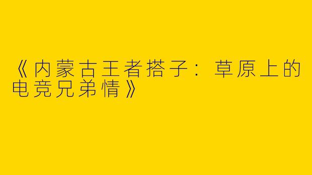 《内蒙古王者搭子：草原上的电竞兄弟情》