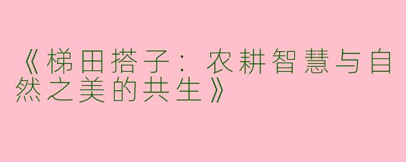 《梯田搭子：农耕智慧与自然之美的共生》