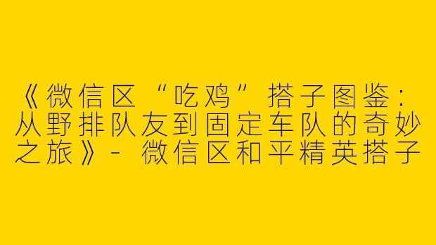 《微信区“吃鸡”搭子图鉴：从野排队友到固定车队的奇妙之旅》-微信区和平精英搭子