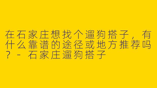 在石家庄想找个遛狗搭子，有什么靠谱的途径或地方推荐吗？