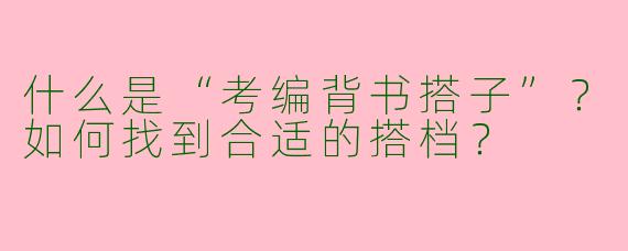 什么是“考编背书搭子”？如何找到合适的搭档？