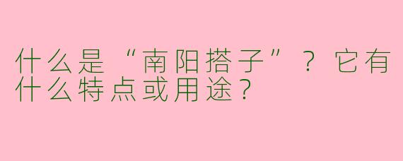 什么是“南阳搭子”？它有什么特点或用途？
