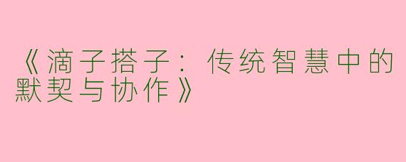 《滴子搭子：传统智慧中的默契与协作》