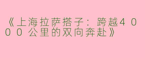 《上海拉萨搭子：跨越4000公里的双向奔赴》