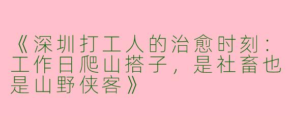 《深圳打工人的治愈时刻：工作日爬山搭子，是社畜也是山野侠客》