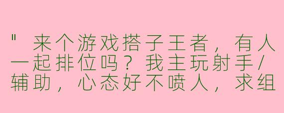 "来个游戏搭子王者，有人一起排位吗？我主玩射手/辅助，心态好不喷人，求组队上分！"