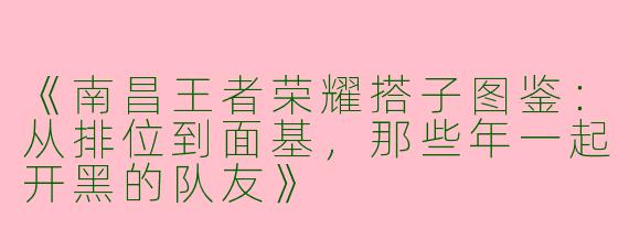 《南昌王者荣耀搭子图鉴：从排位到面基，那些年一起开黑的队友》