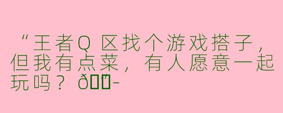 “王者Q区找个游戏搭子，但我有点菜，有人愿意一起玩吗？😭”