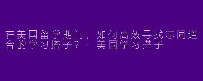 在美国留学期间，如何高效寻找志同道合的学习搭子？