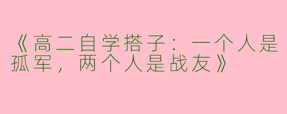 《高二自学搭子：一个人是孤军，两个人是战友》