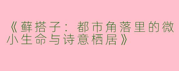 《藓搭子：都市角落里的微小生命与诗意栖居》