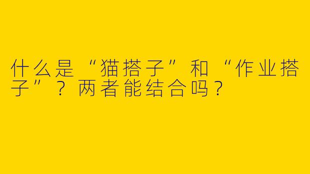 什么是“猫搭子”和“作业搭子”？两者能结合吗？