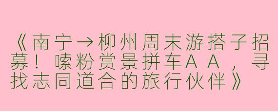 《南宁→柳州周末游搭子招募！嗦粉赏景拼车AA，寻找志同道合的旅行伙伴》