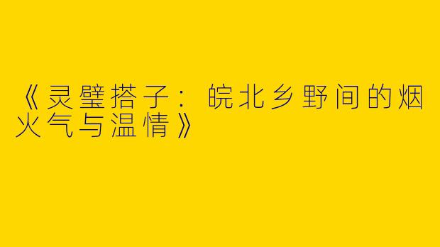 《灵璧搭子：皖北乡野间的烟火气与温情》