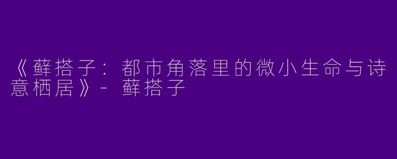 《藓搭子：都市角落里的微小生命与诗意栖居》-藓搭子