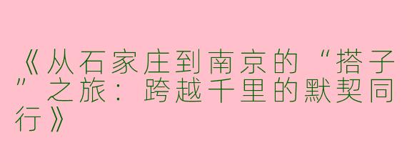 《从石家庄到南京的“搭子”之旅：跨越千里的默契同行》