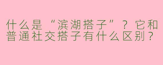 什么是“滨湖搭子”？它和普通社交搭子有什么区别？