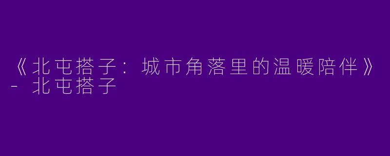 《北屯搭子：城市角落里的温暖陪伴》-北屯搭子