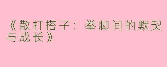《散打搭子：拳脚间的默契与成长》