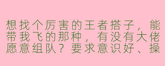 想找个厉害的王者搭子，能带我飞的那种，有没有大佬愿意组队？要求意识好、操作秀，能carry全场，顺风不浪逆风不怂，最好能开麦沟通，我玩中路和辅助比较稳！