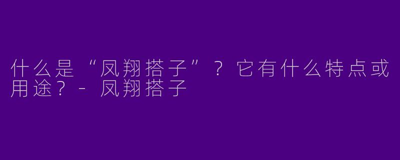 什么是“凤翔搭子”？它有什么特点或用途？-凤翔搭子
