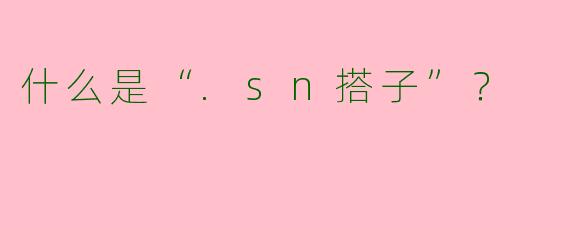 什么是“.sn搭子”？