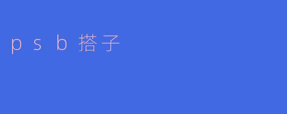 psb搭子