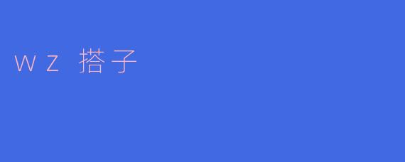 wz搭子