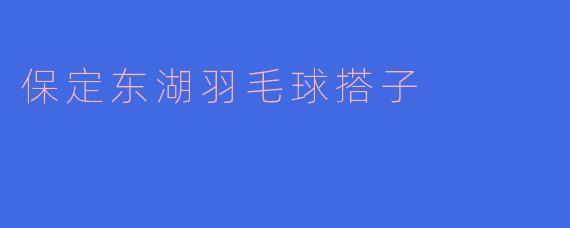 《寻找保定东湖羽毛球搭子：挥拍交友，健康同行》
