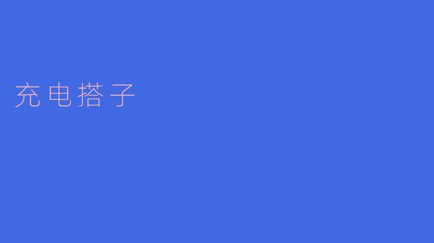 充电搭子